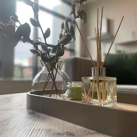 Central Leeds Luxury Apartment Leeds (West Yorkshire)